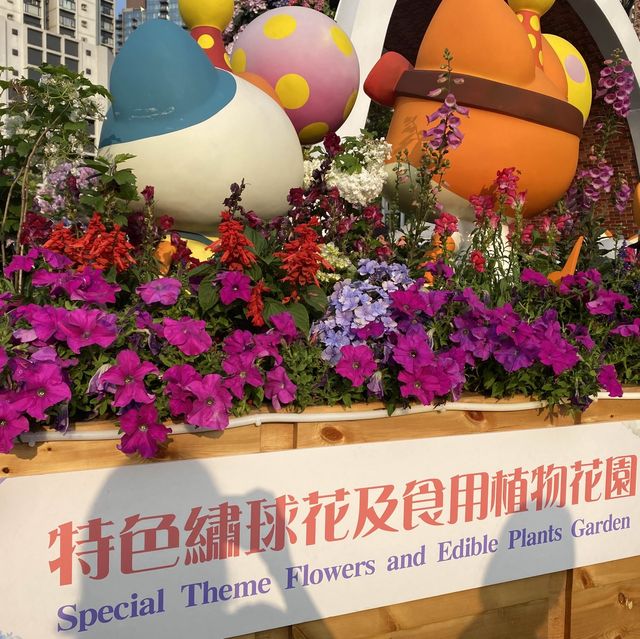 維園一年一度花卉展