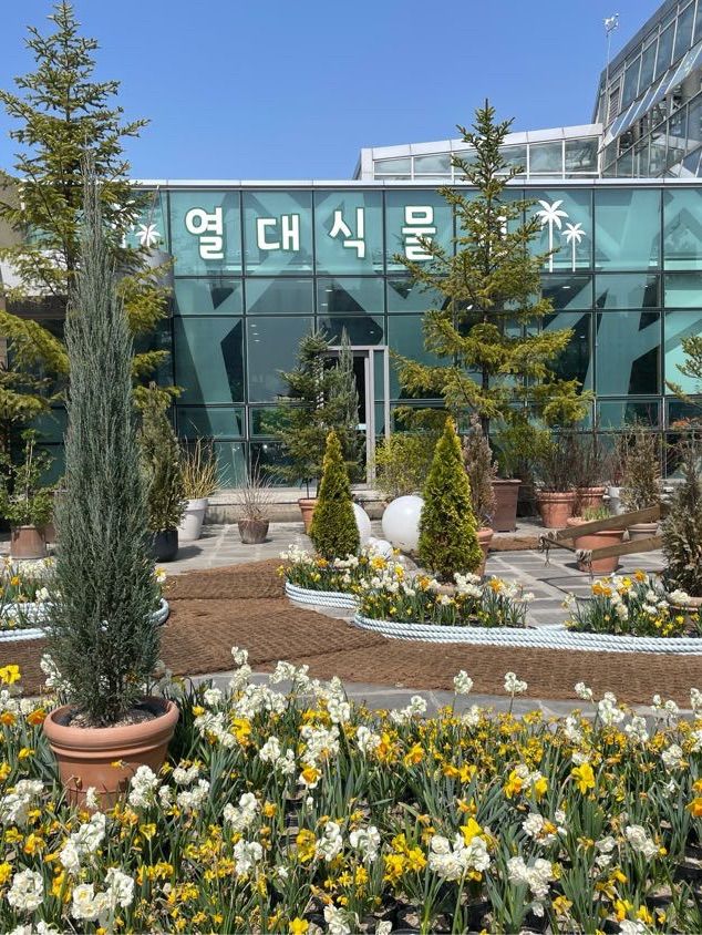 대전 봄꽃의 성지는 바로 여기! 한밭수목원🌼
