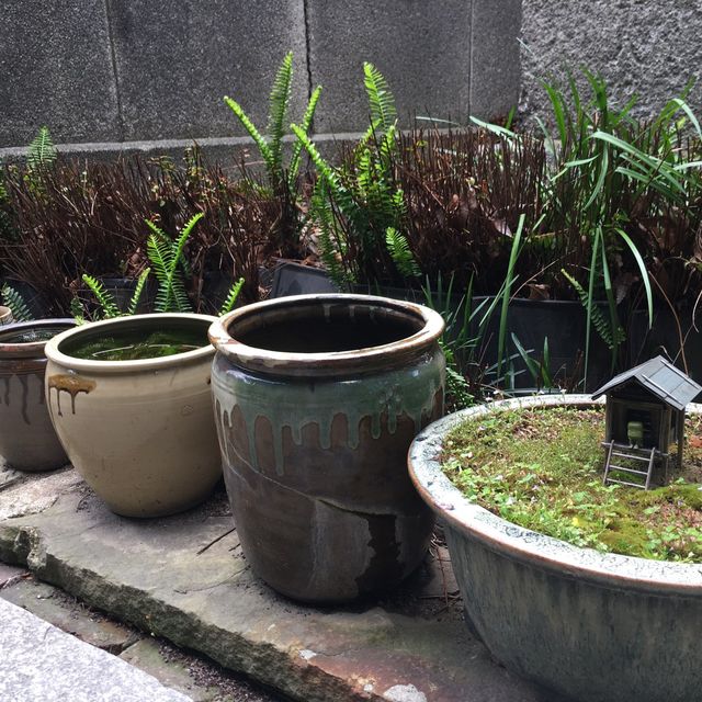 歴史をダイレクトに感じるお寺【一行寺】