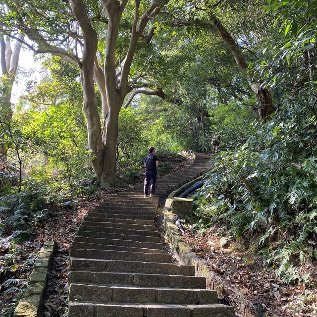 🌟台北天母｜天母古道 水管路步道 翠峰瀑布 健行親山
