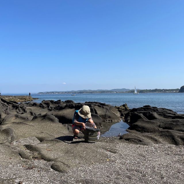 同網海岸・三浦で海水浴