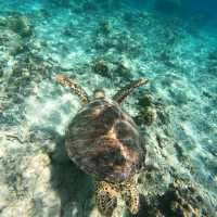 Serene Lombok and Party scenes at Gili