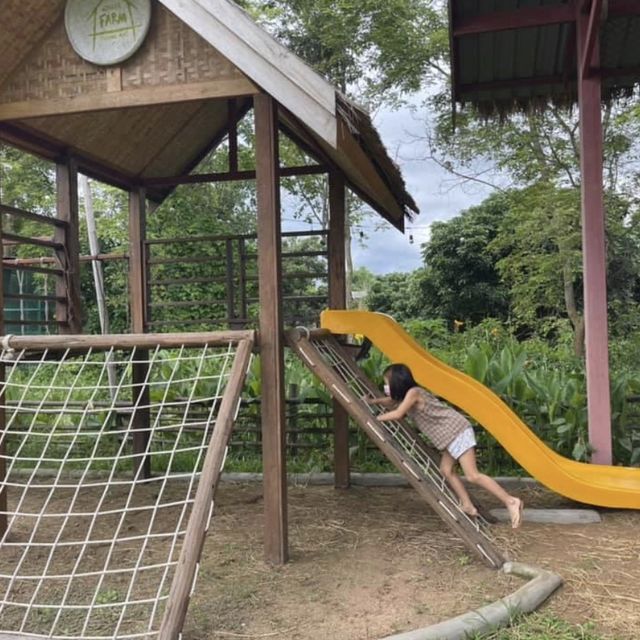 พาเด็กๆเรียนรู้ธรรมชาติ ที่ Ginger Farm เชียงใหม่