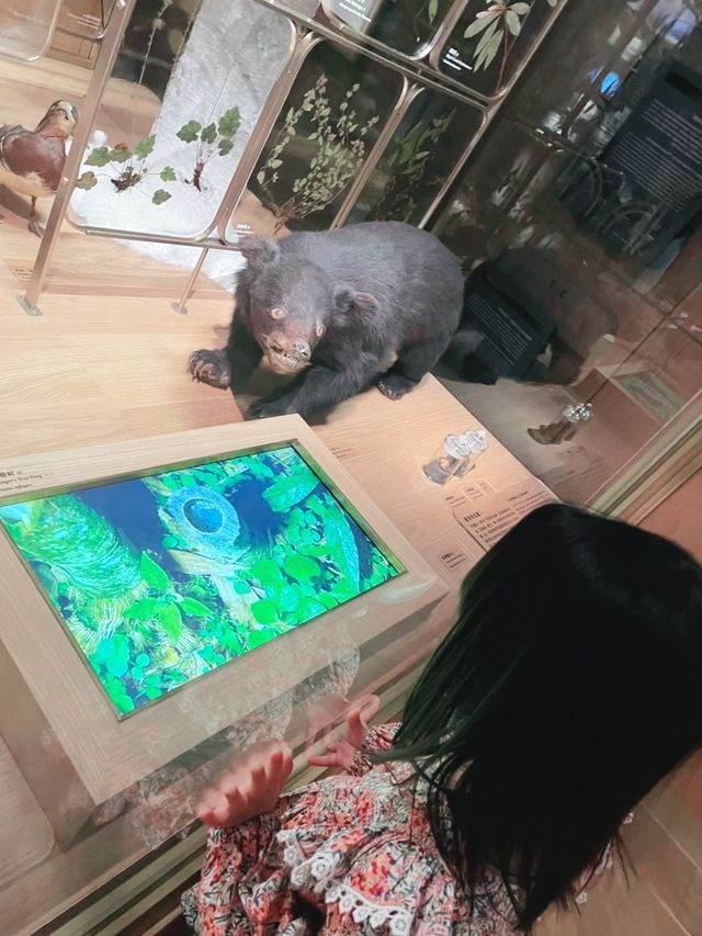 國立台灣博物館｜氣派輝煌的古建築