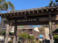 韓国ドラマ“椿の花咲く頃”ロケ地。