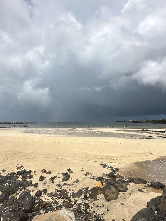 濟州島必去牛島！！
