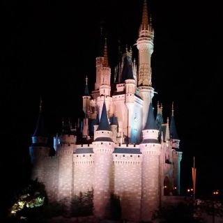 American Attractions✨One Princess Dream for Everyone @ Disneyland