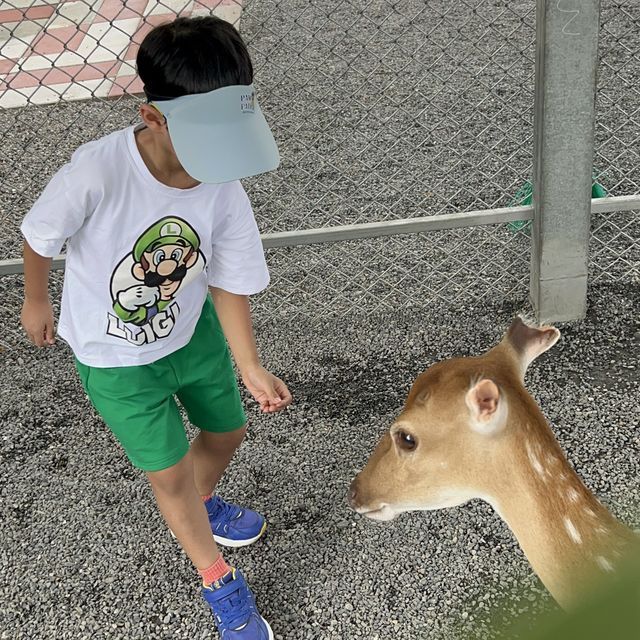 台灣宜蘭。親子農場玩樂