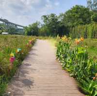 ▍療癒之旅 ▍深圳都市田園：忘卻喧囂，尋覓愜意自然美景 