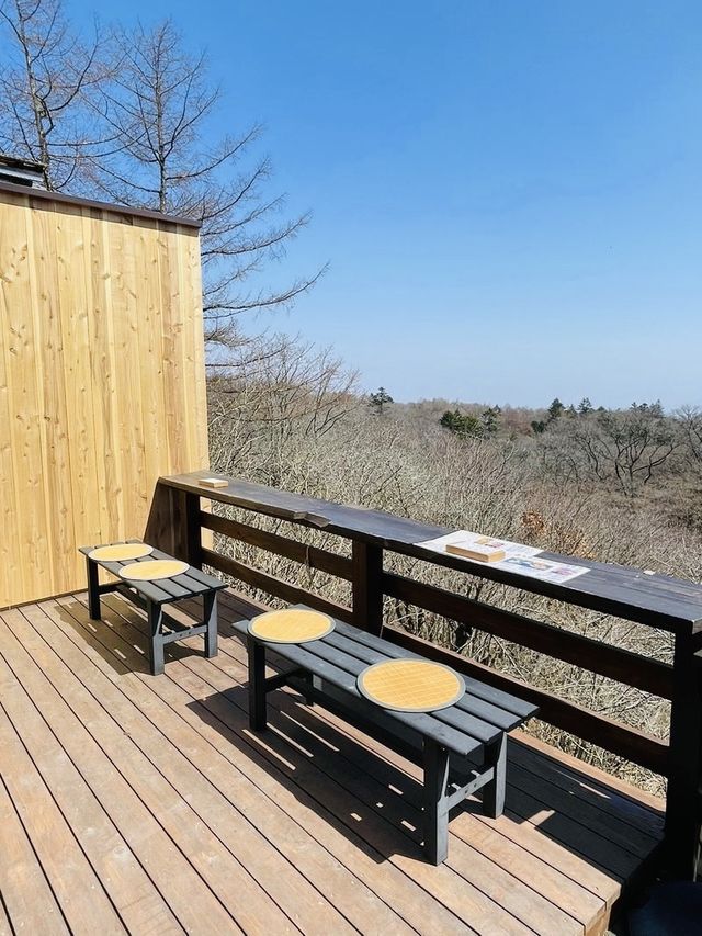 【長野県＆群馬県/しげの屋】名物・碓氷そば＆元祖力餅
