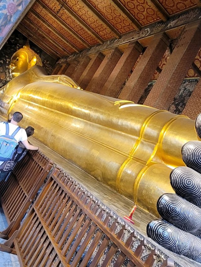 세계에서 가장 큰 불상이 있는 웅장한 사원 왓 포🕍