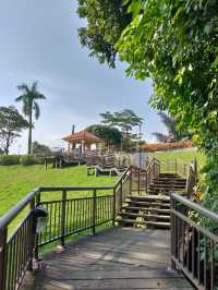 Telok Blangah Hill Park