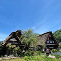 🏞️❄️ 白川鄉～童話般的風景與豐富文化 🏯🌸😍