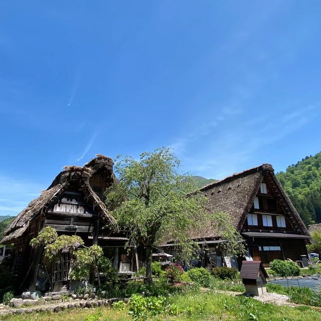 🏞️❄️ 白川鄉～童話般的風景與豐富文化 🏯🌸😍