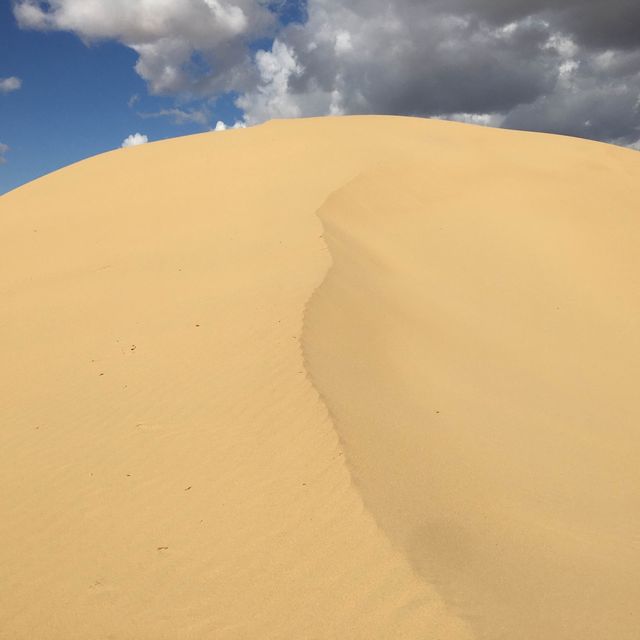 モンゴル🇲🇳セミゴビ砂漠　Högönö-Taranaiin-Hüree