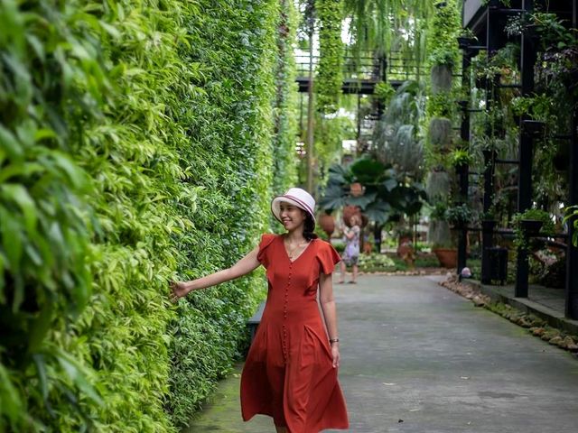 สวนนงนุชพัทยา