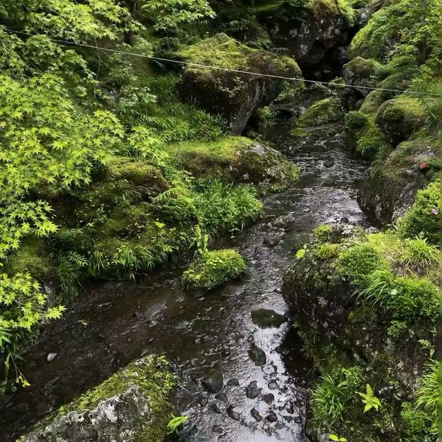 箱根美術館：融合藝術與自然的🌿日式庭院寶藏！
