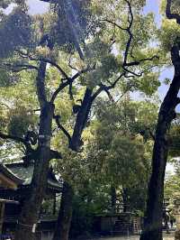 【埼玉パワースポット】越谷　久伊豆神社