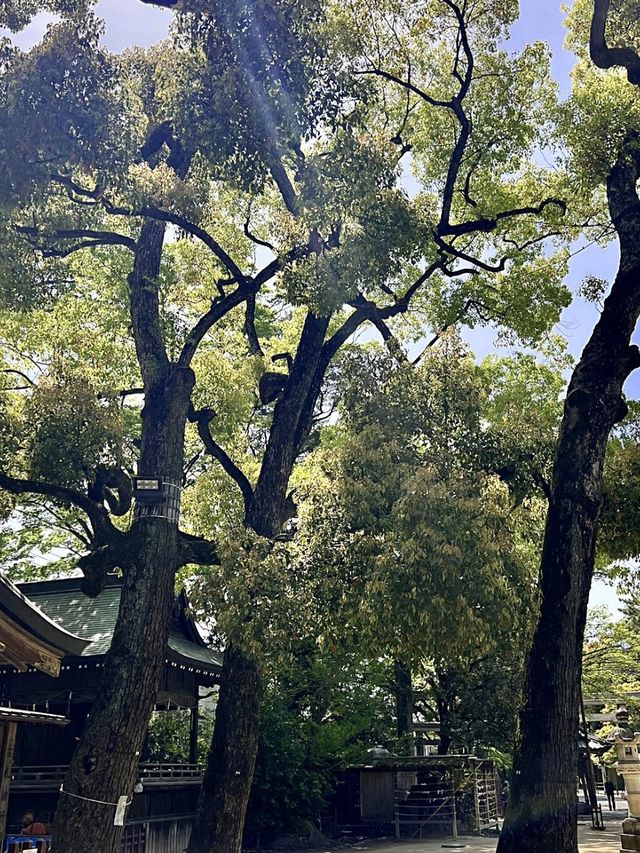 【埼玉パワースポット】越谷　久伊豆神社
