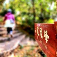 都市中的高登好去處