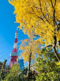 【東京都/増上寺】2023年行ってよかった！東京都の寺院