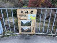 紅葉名所　一目八景