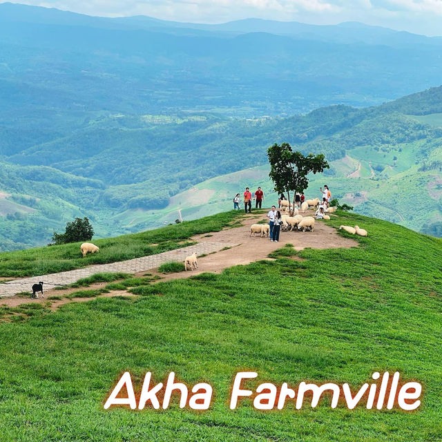 Akha Farmville เชียงราย