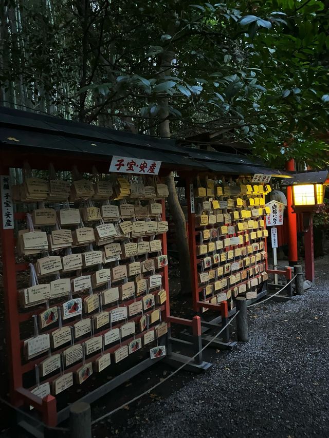 A shrine inside the bamboo forest ⛩️🕋