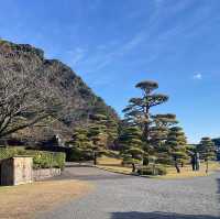 鹿兒島首屈一指的庭園「仙巖園」