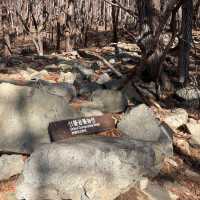영남알프스 8봉 신불산 영축산 최단코스, 눈 산행