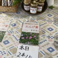 【昼神温泉朝市】時間限定の朝市
