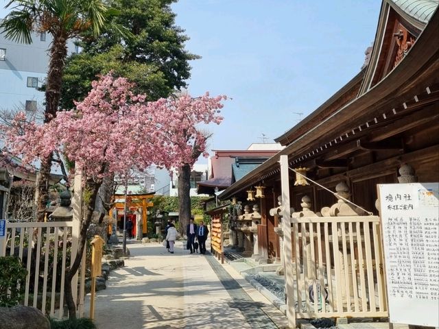 ⛩️후쿠오카 중심지에 있는 구시다 신사⛩️