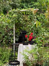 2nd November Cafe | คาเฟ่ลับเขาหล่น นครนายก