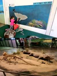 🇱🇰 Blue Whale Specimen @ Colombo Museum 