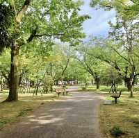 Tamagawa Park