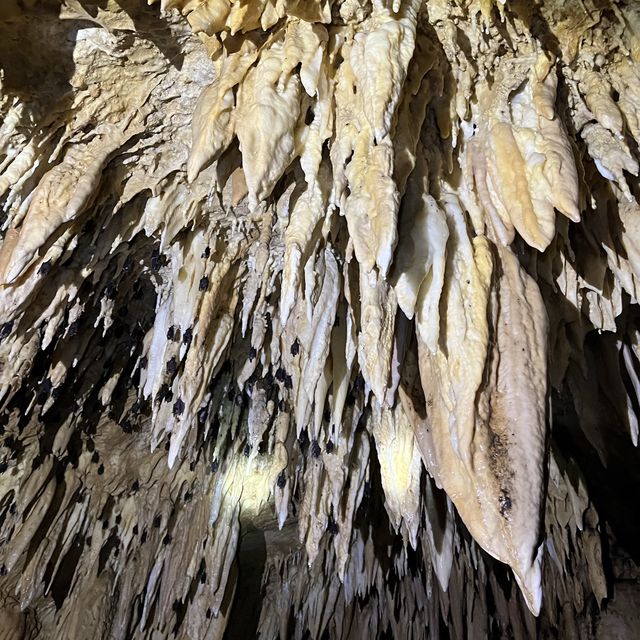 Best cave in Siargao, amazing adventure! 