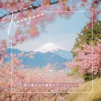【神奈川】富士見百景にも選ばれた絶景！「松田山ハーブガーデン」🌸