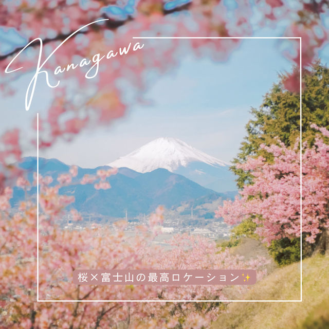 【神奈川】富士見百景にも選ばれた絶景！「松田山ハーブガーデン」🌸