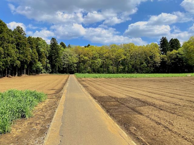 Izumi Nature Park