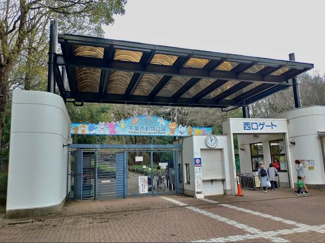 Petting Animal Village, Chiba Zoological Park