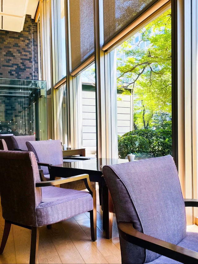 【高輪】鮮緑が気持ちいい🌿‬ゆっくり落ち着いて過ごせるホテルラウンジ☕️光明