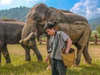 Connecting with Nature’s Giant @ Chiang Mai
