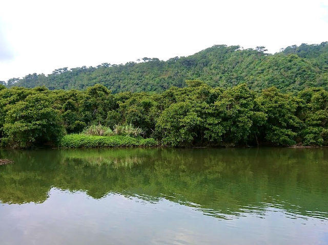 Konbu Park