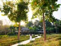พักผ่อนอย่างเหนือระดับ สัมผัสกับธรรมชาติที่สมบูรณ์