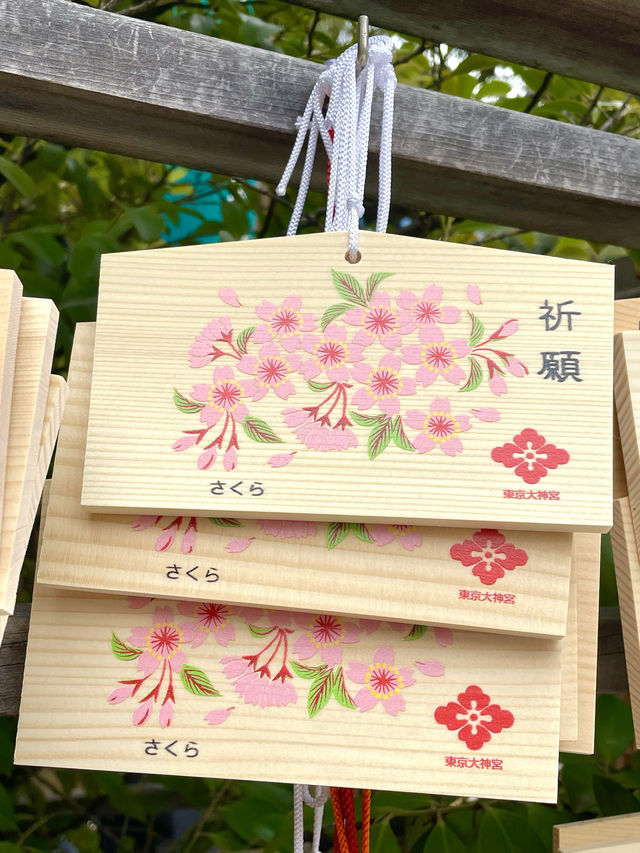 【東京大神宮/東京都】春になると河津桜を設置