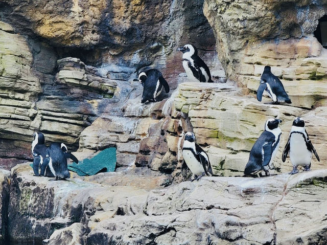 New York Aquarium