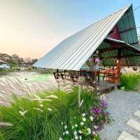 นานากลางทุ่ง @บ้านน้ำก่ำ