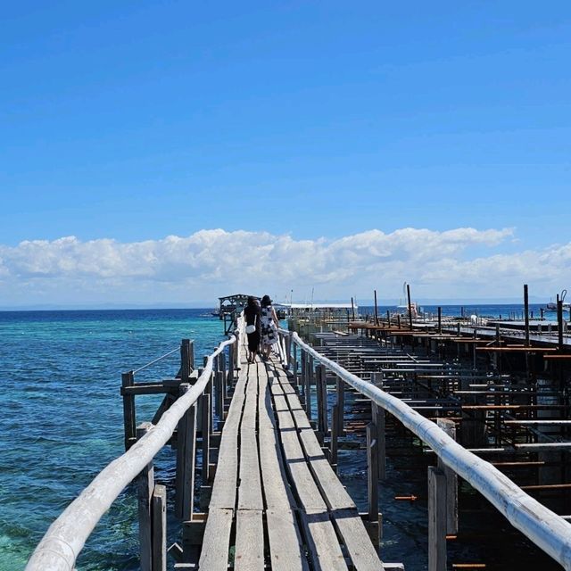 【セブ島近くの離島！海のキレイさ抜群！！】NALUSUAN Island！