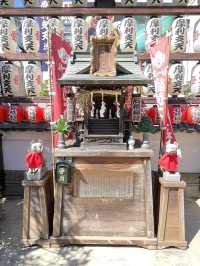 【摩利支天徳大寺/台東区】気力・体力・財力をもたらす摩利支天と亥
