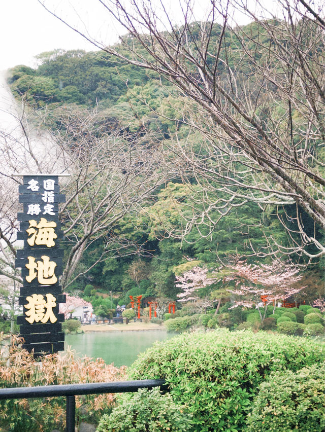 日本別府景點｜有櫻花🌸有鳥居⛩️有地獄😂